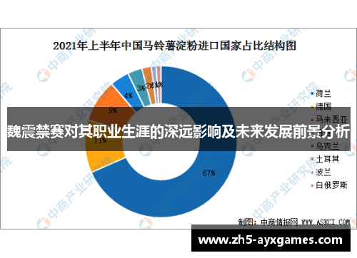 魏震禁赛对其职业生涯的深远影响及未来发展前景分析